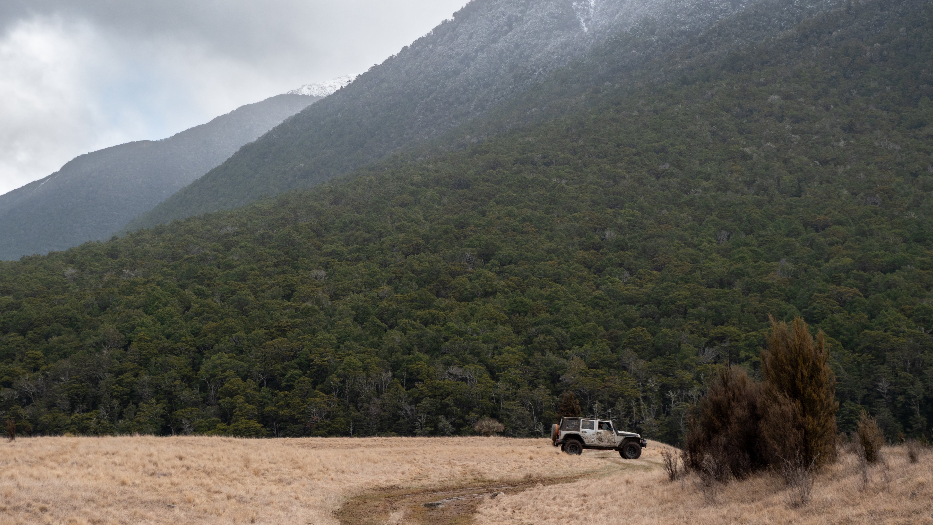 Photo 11-09-2025, 5 12 52 AM.jpg